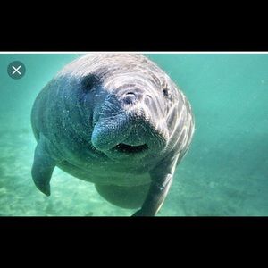 Meet your Posher, Kristy